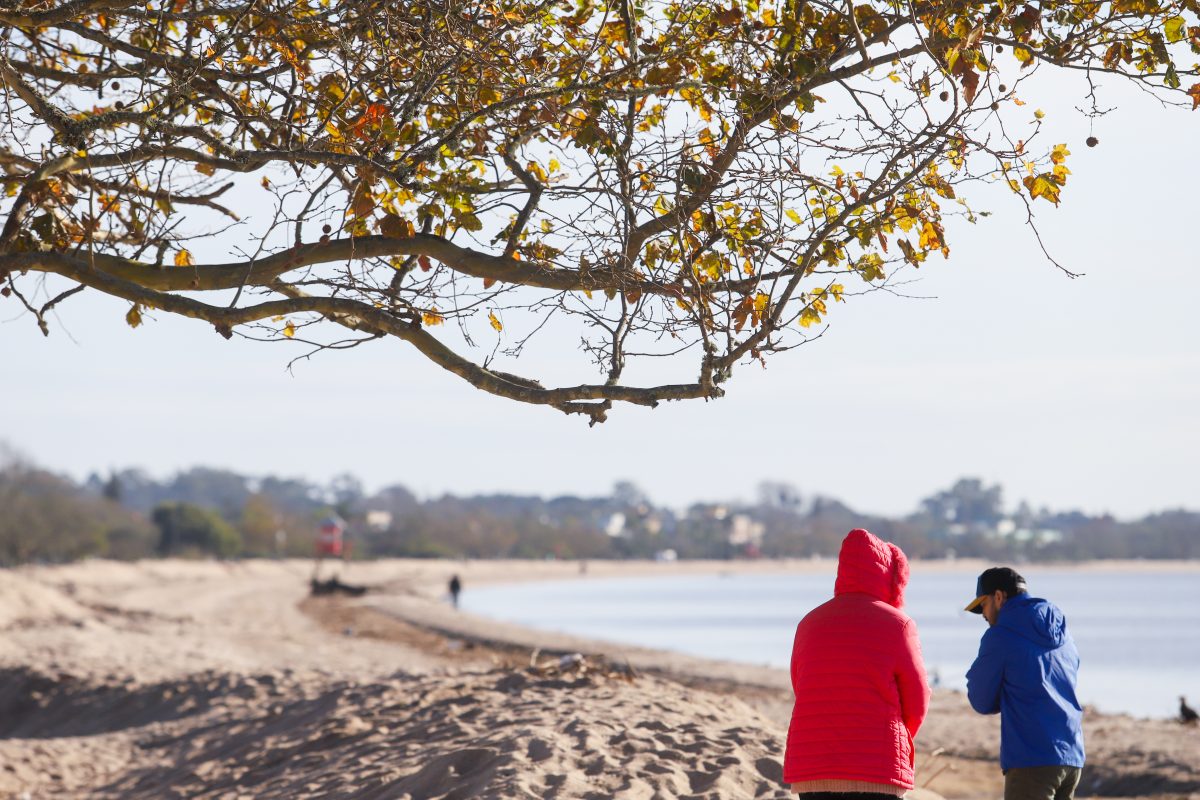 Zona Sul tem mínimas de 1ºC nesta terça-feira