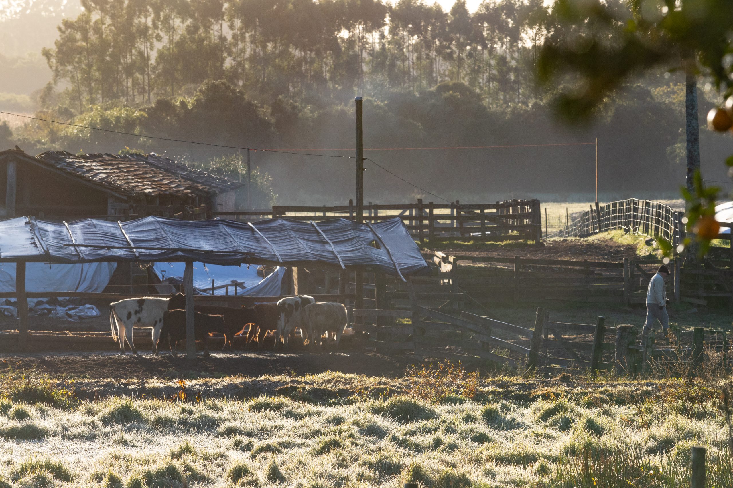 Temperatura deve chegar a 0ºC na terça-feira