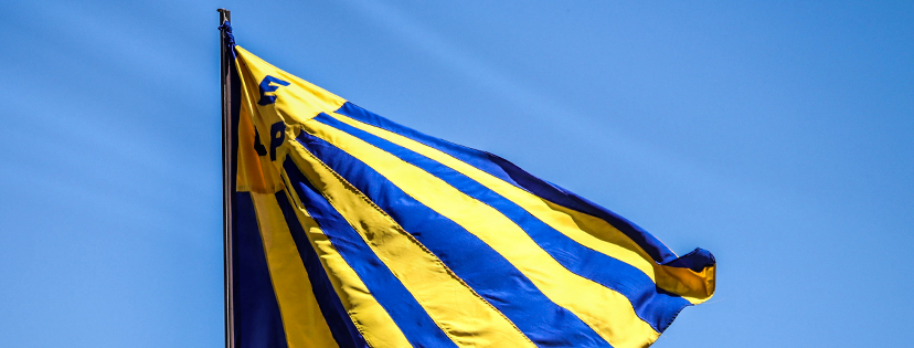 Processo eleitoral do Pelotas é antecipado para setembro