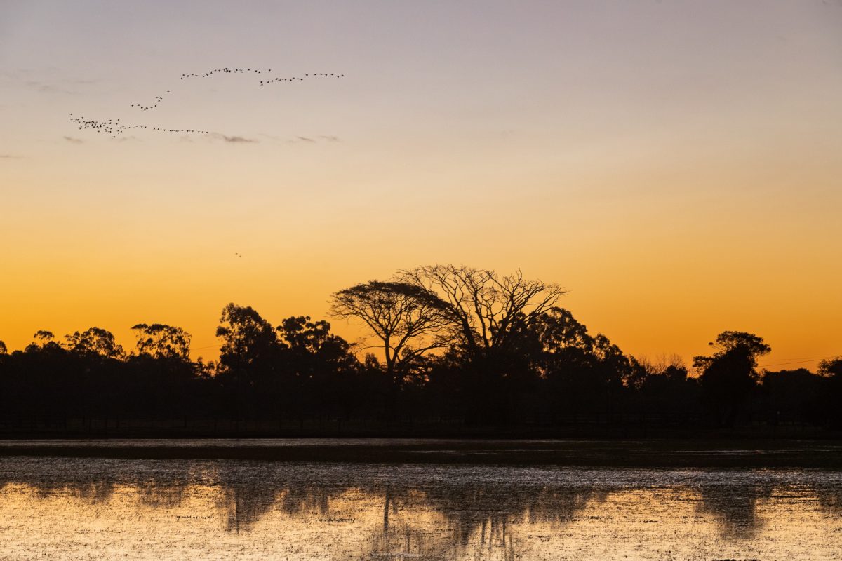 Sexta-feira de sol e temperatura em elevação