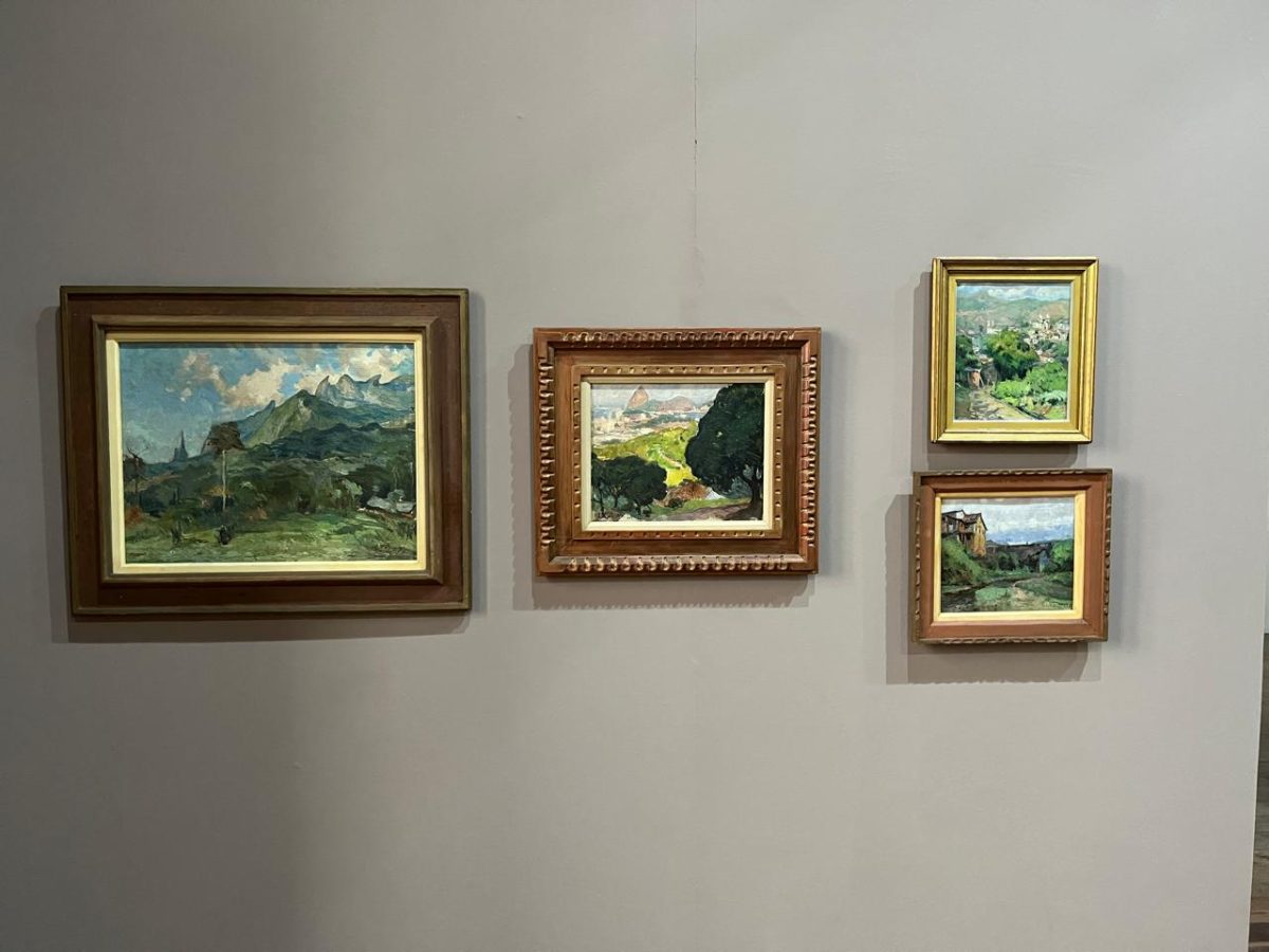 Paisagens de Gotuzzo arrebatam a crítica no Rio de Janeiro