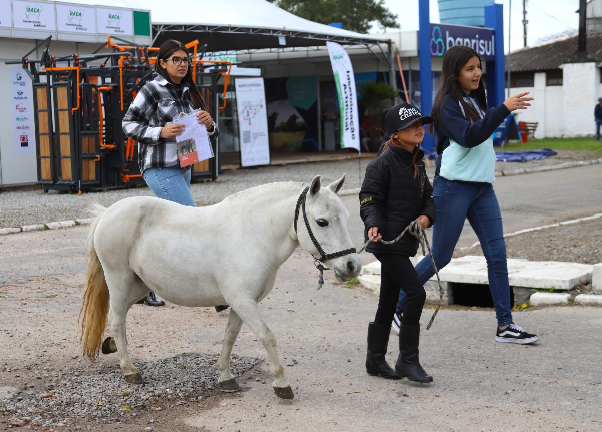 Criadores de Pônei integram programação da 98º Expofeira de Pelotas