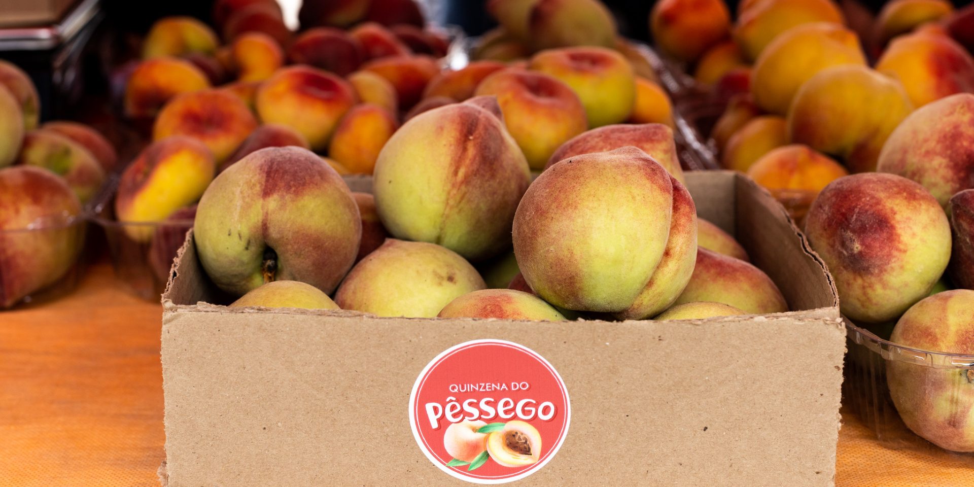 Abertura da colheita marca começo da quinzena do pêssego