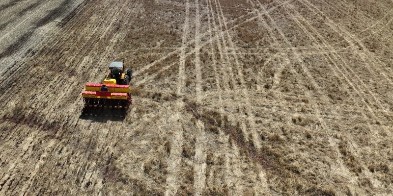 Plantio da soja alcança 80% da área projetada no Estado