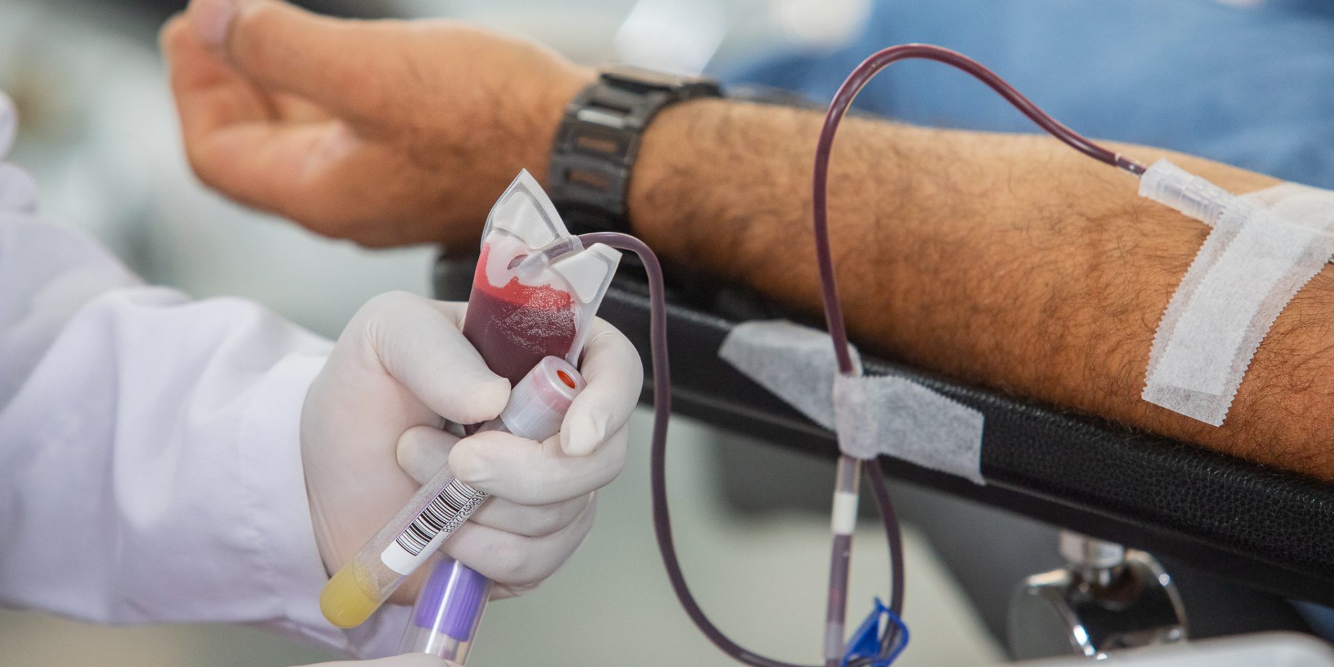 HemoPel precisa de sangue A e O negativos