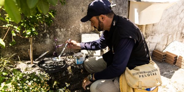 Pelotas registra 47 casos de dengue em 2025