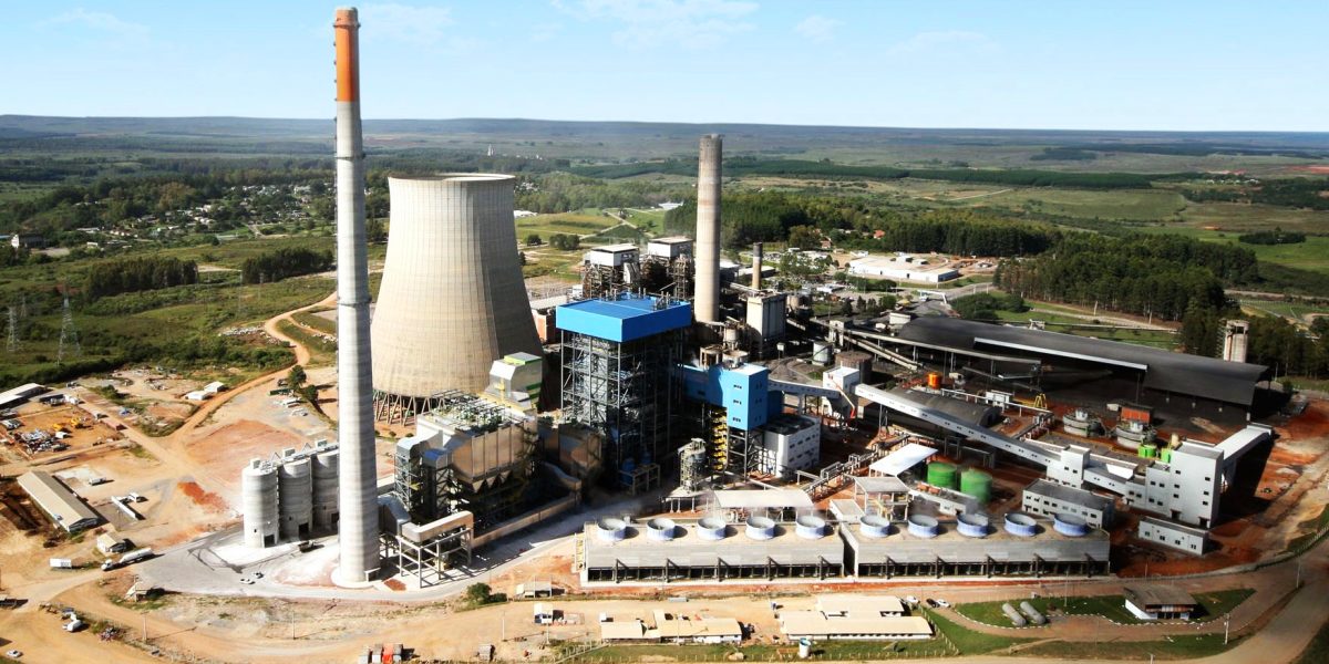 “Vou ver e te aviso”