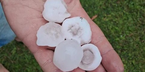 Temporal em Canguçu causa prejuízo para produtores de fumo