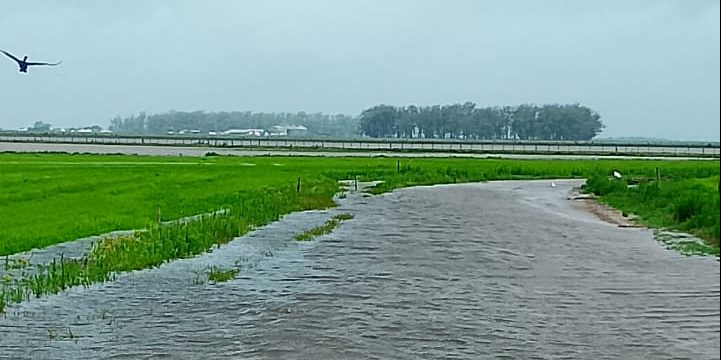Nosso agro e nosso comportamento