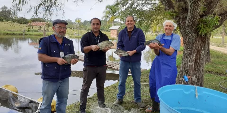Piscicultura tem potencial para se desenvolver em Pelotas