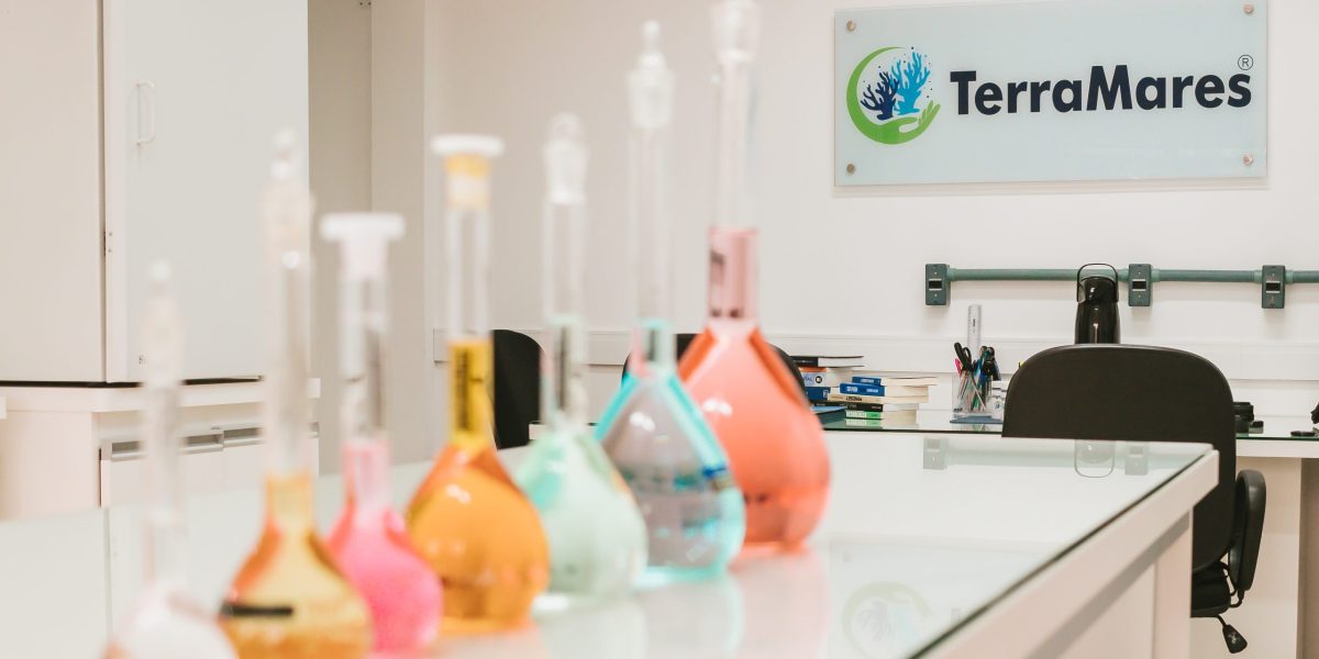 Startup de Rio Grande desenvolve bioinsumo para arroz irrigado