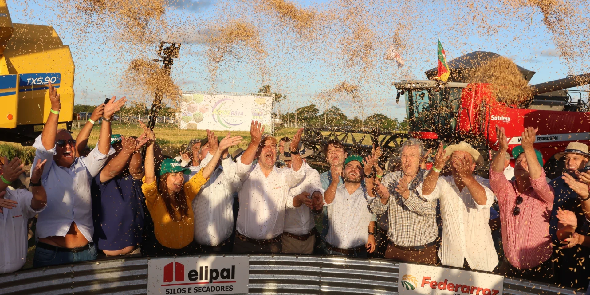 Colheita de arroz e grãos está oficialmente aberta