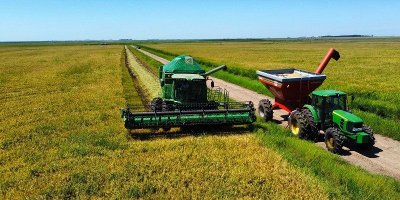 Santa Vitória do Palmar é destaque em produtividade de arroz