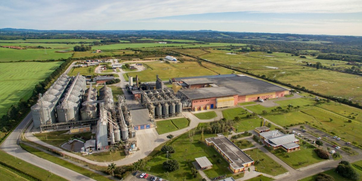 Cinco empresas da região sul se destacam como marcas líderes no Estado