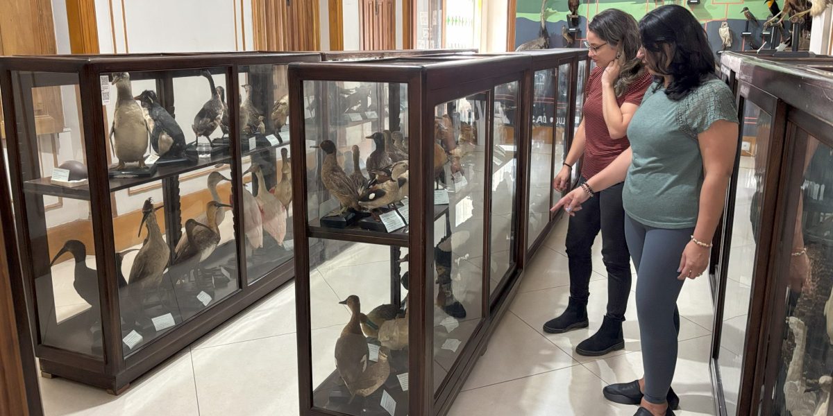 Relatos da comunidade vão contribuir para exposição comemorativa no Museu Carlos Ritter