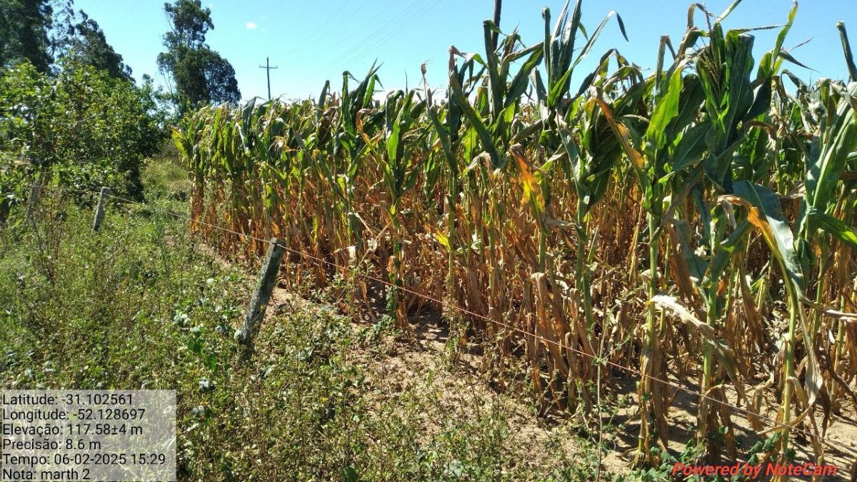 Estado reconhece situação de Emergência em São Lourenço do Sul