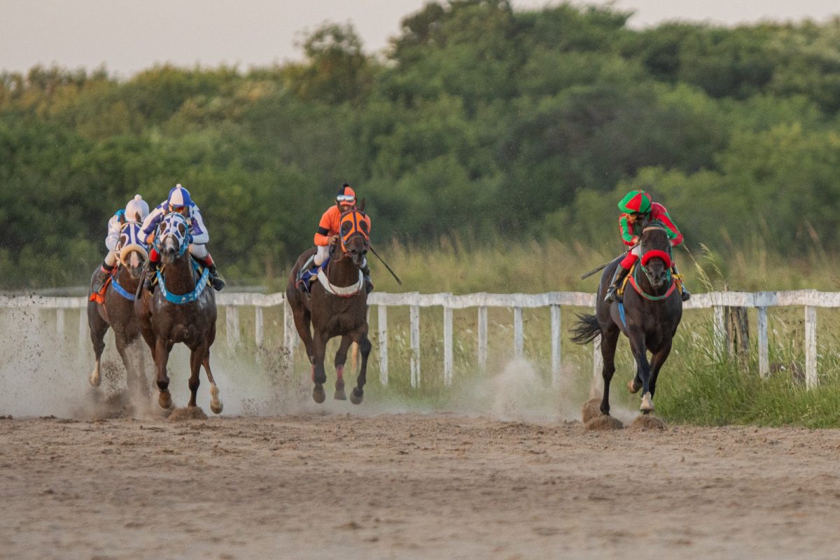Jockey Club promove Clássico Assis Brasil neste domingo