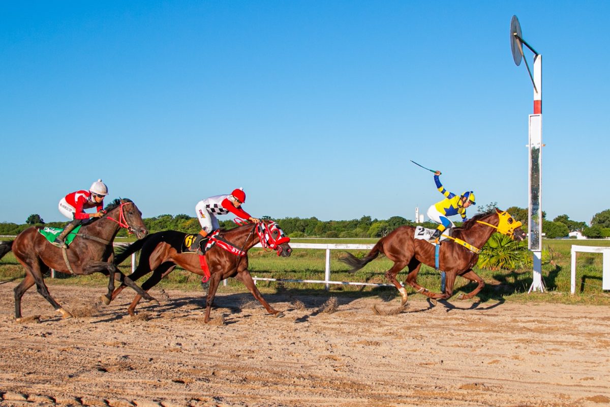 Vai Futuro leva o clássico Assis Brasil