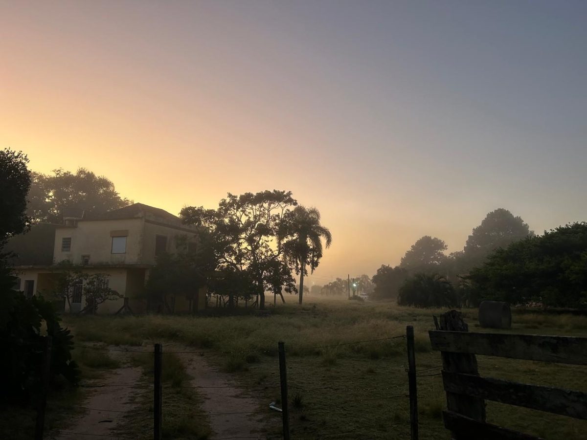 Pelotas registra 10ºC de mínima na madrugada