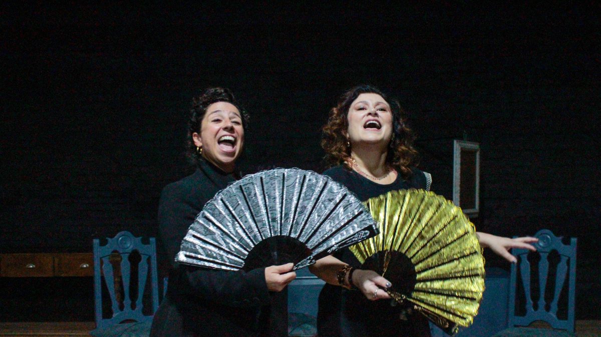 A viúva Pitorra estreia no Teatro Simões Lopes Neto