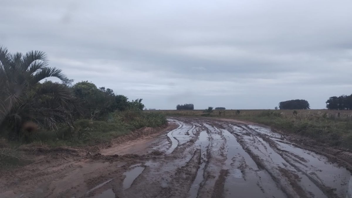Chuva interrompe estradas e ameaça colheita em Santa Vitória do Palmar