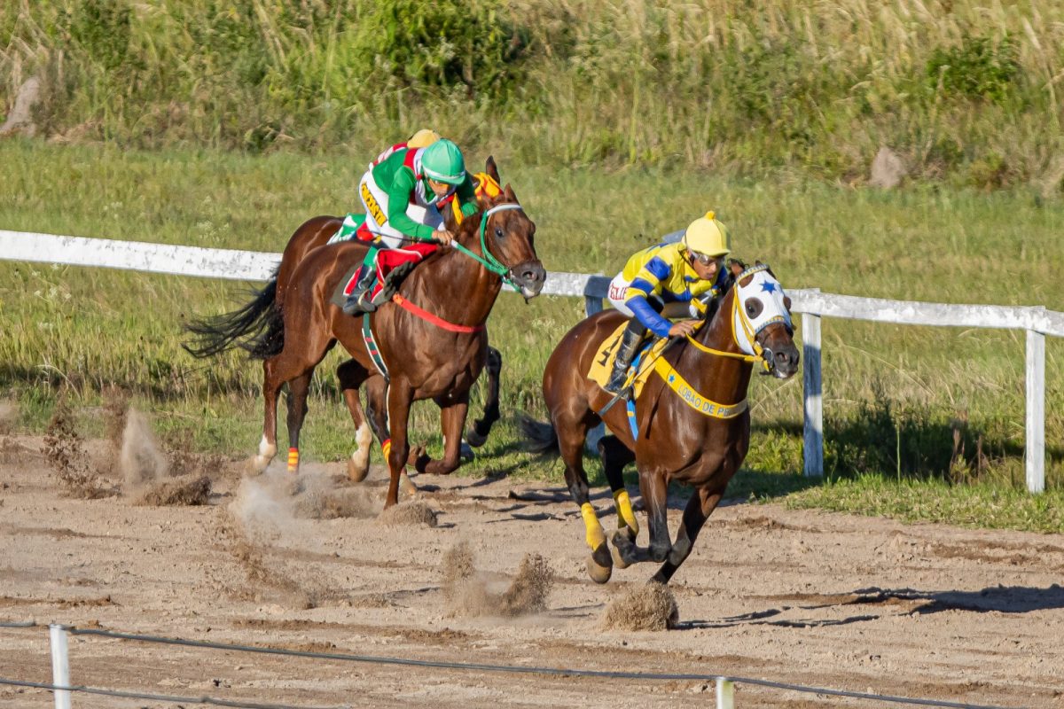 Jockey Club realiza corridas de preparação para o GP Princesa do Sul