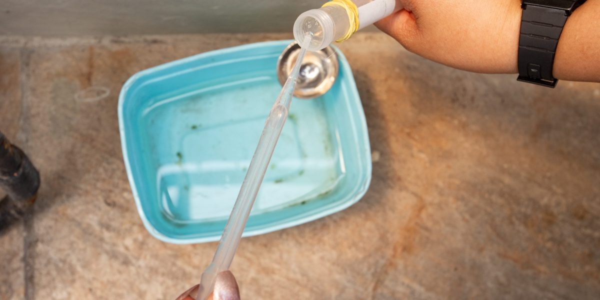 Zona Sul chega a 22 infecções por dengue confirmadas no ano