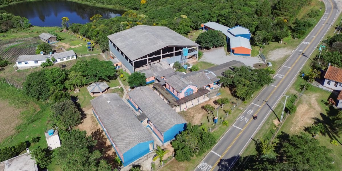 Antes de tudo, a educação