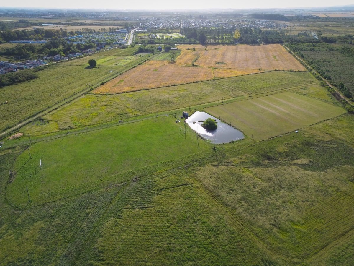 Brasil trabalha em revitalização do CT da Sanga Funda