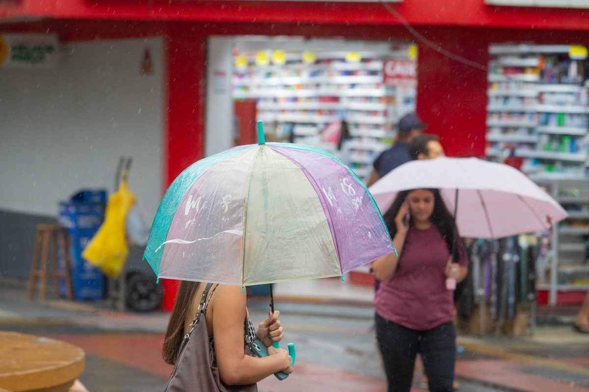 Chuva e vento causam estragos na Zona Sul