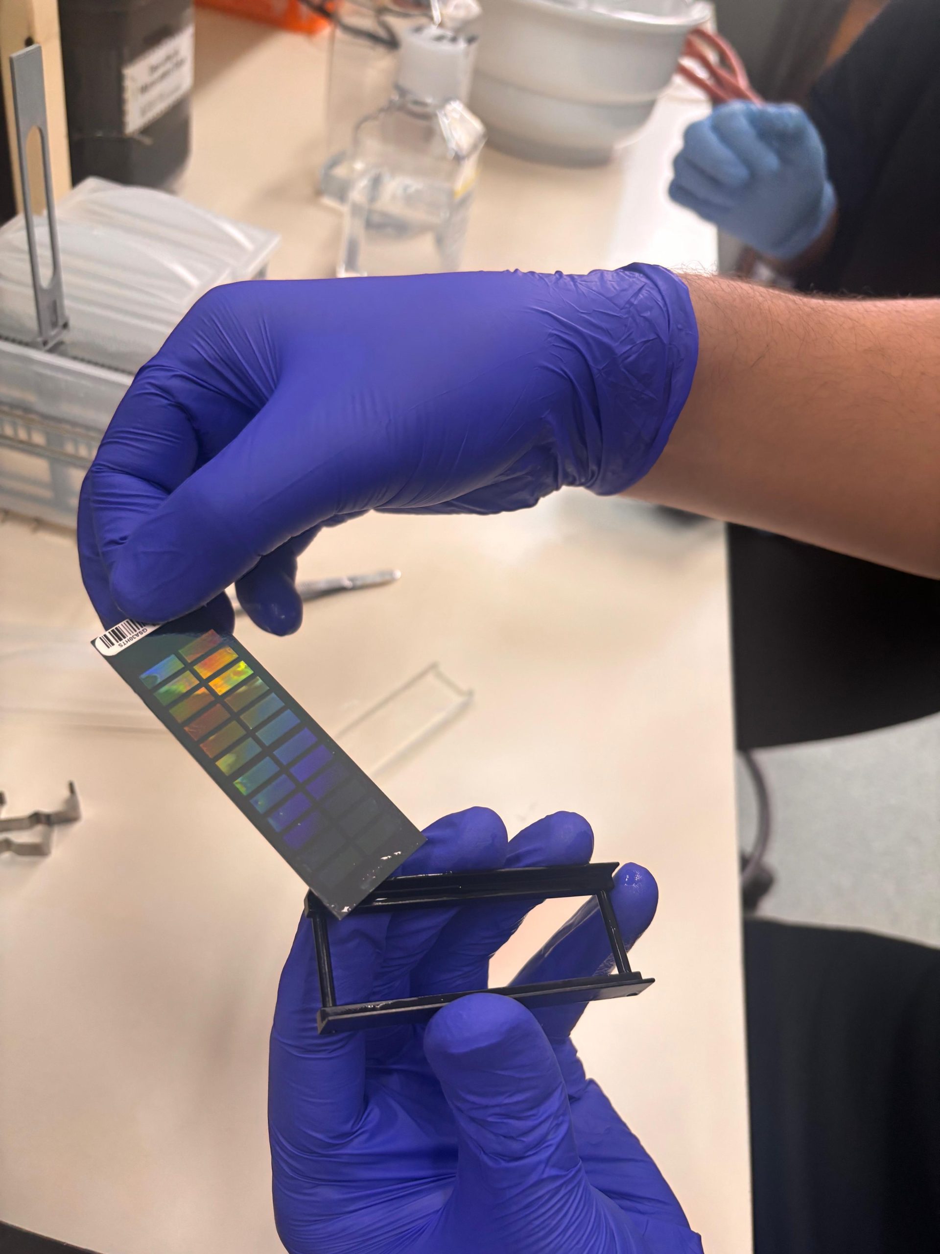 UFPel quer aproximar ciência e tecnologia à saúde pública