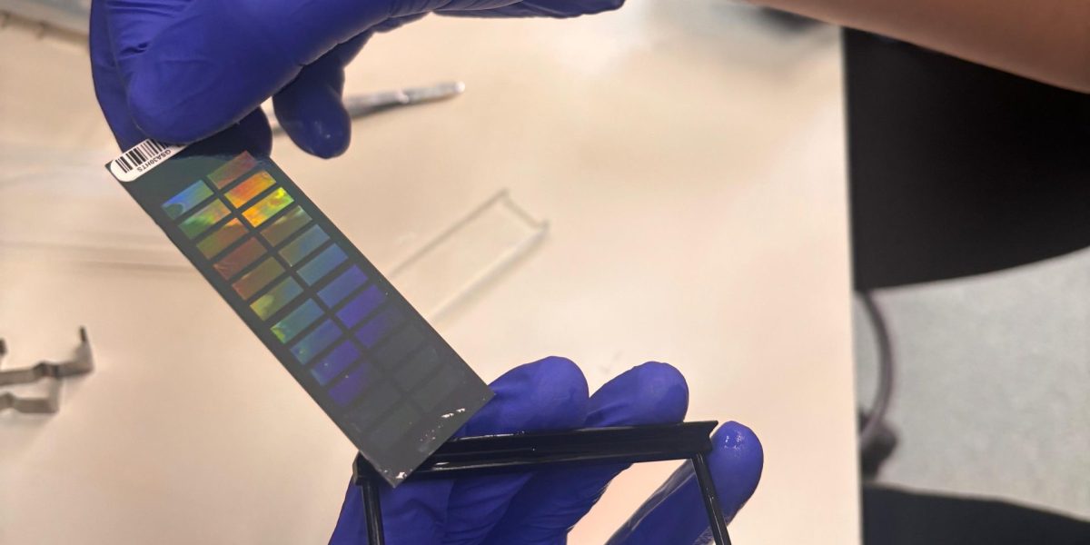 UFPel quer aproximar ciência e tecnologia à saúde pública