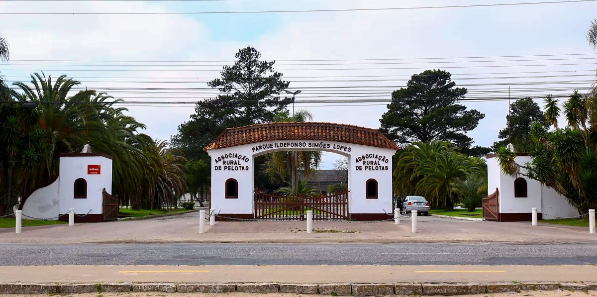 A força do agro regional