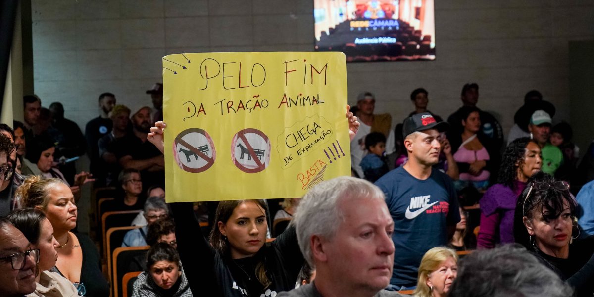Audiência sobre fim da tração animal é marcada por confusão e bate-boca