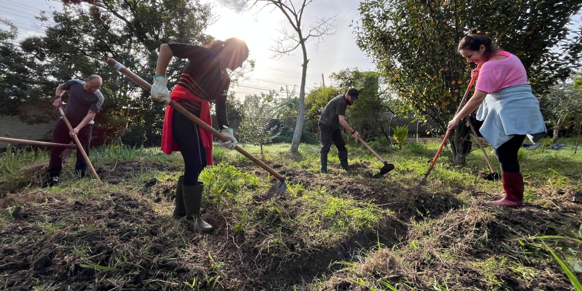 Projeto Hortas Urbanas avança em Pelotas com foco em sustentabilidade