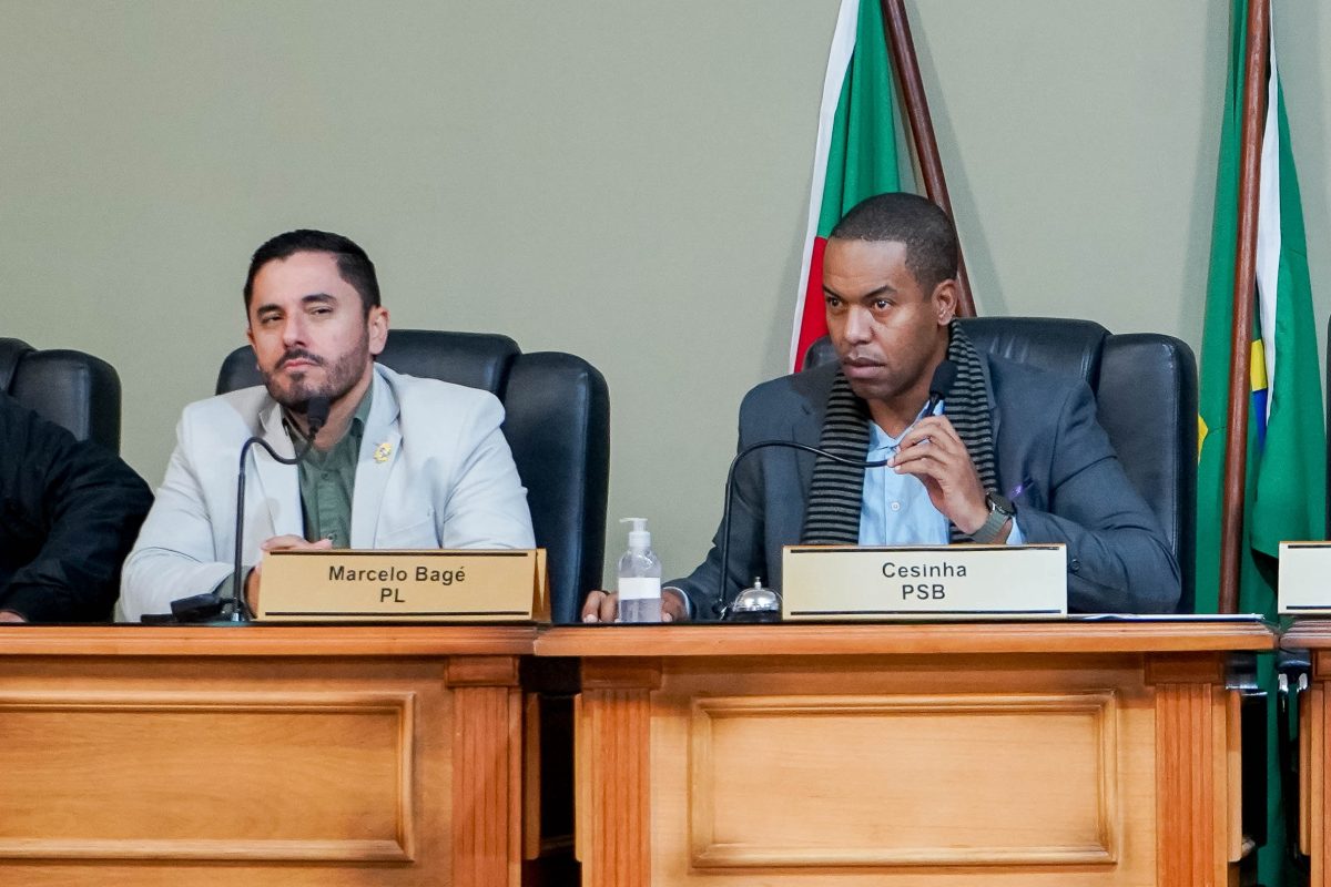 Vereadores começam revisão da Lei Orgânica