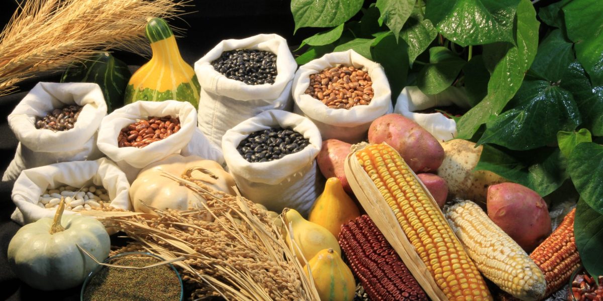 Agricultura de baixo carbono terá projeto especial na região sul