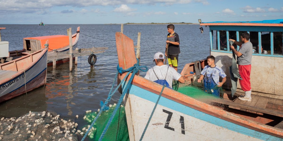 Tainha se sobressai em meio à decepção com o camarão