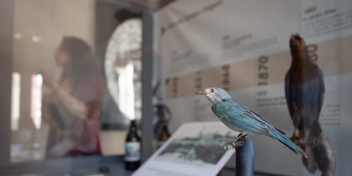 Exposição conta a história de criação do Museu Carlos Ritter