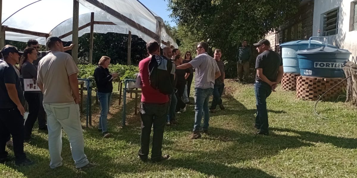 Emater oferece curso de formação para produtores de morango