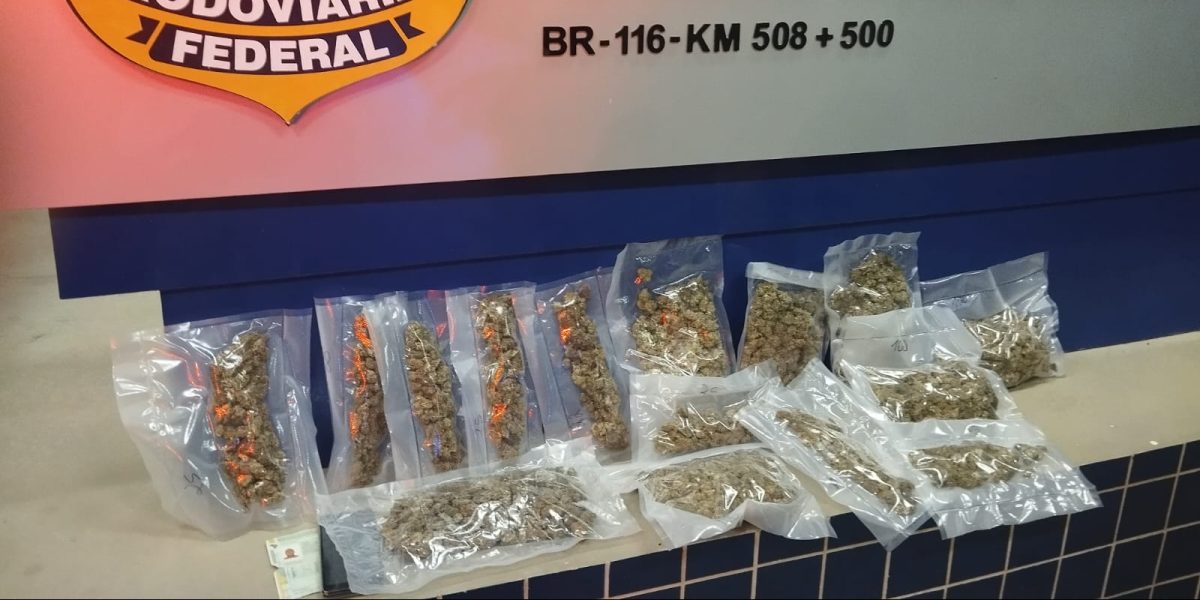 Homem que transportava skunk é preso pela PRF em Pelotas