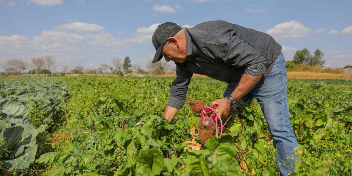 Programa Bem Cultivar do Sebrae será apresentado para a região Sul