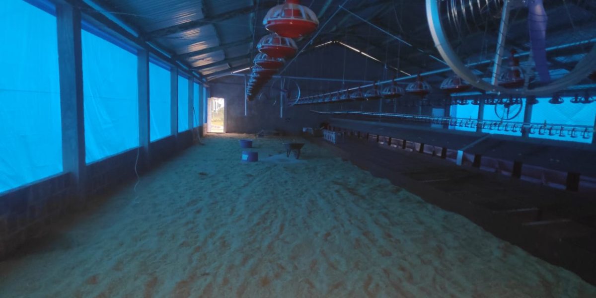 Na rota migratória de aves, granja em Santa Vitória é impedida de operar