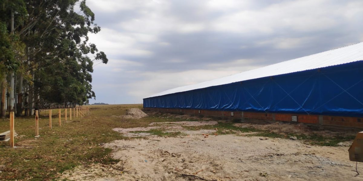 Receitas para o atraso