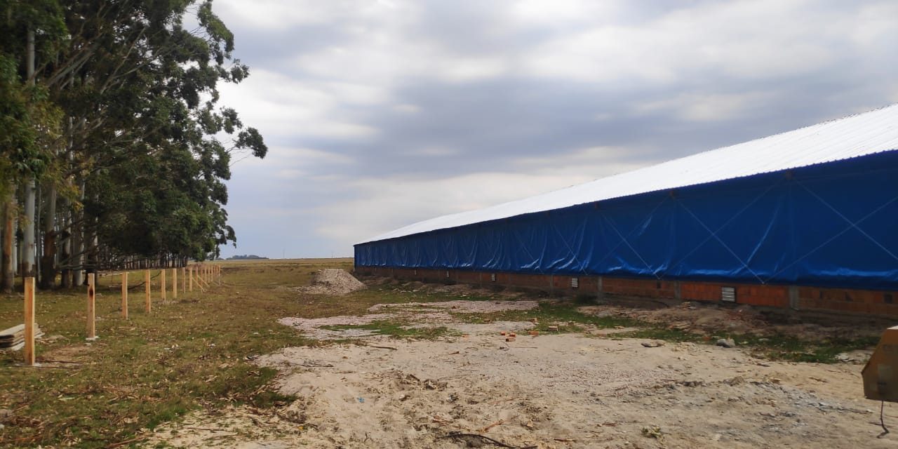 Receitas para o atraso