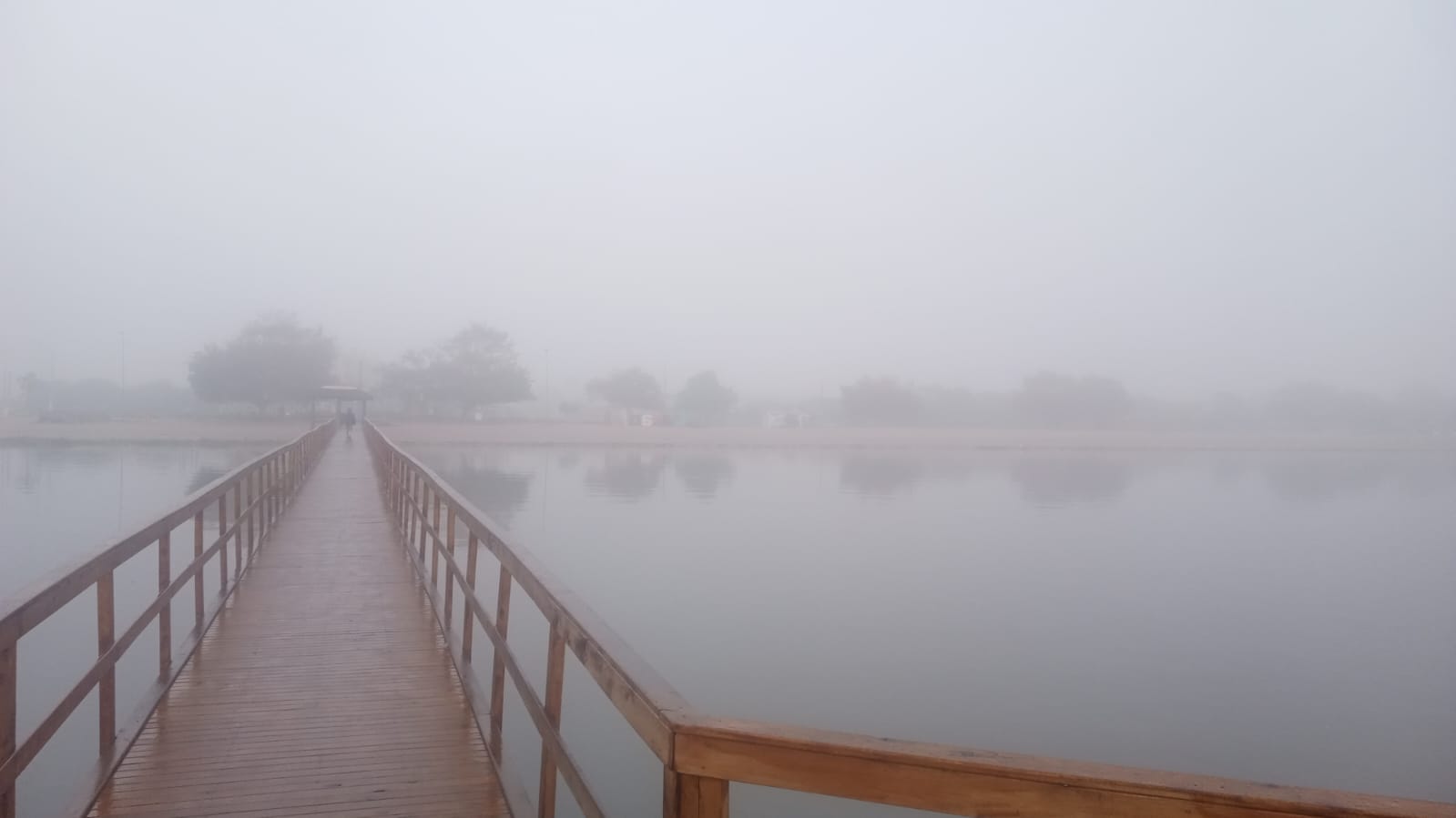 Semana começa com muita neblina na Zona Sul do Estado