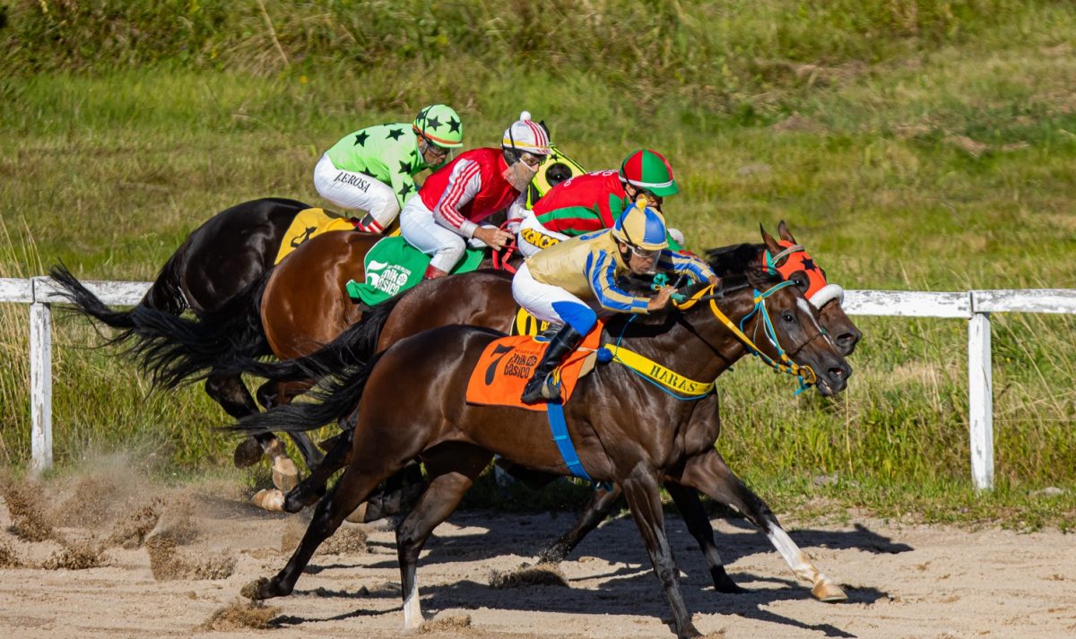Festival do 87º GP Princesa do Sul tem dez páreos neste fim de semana