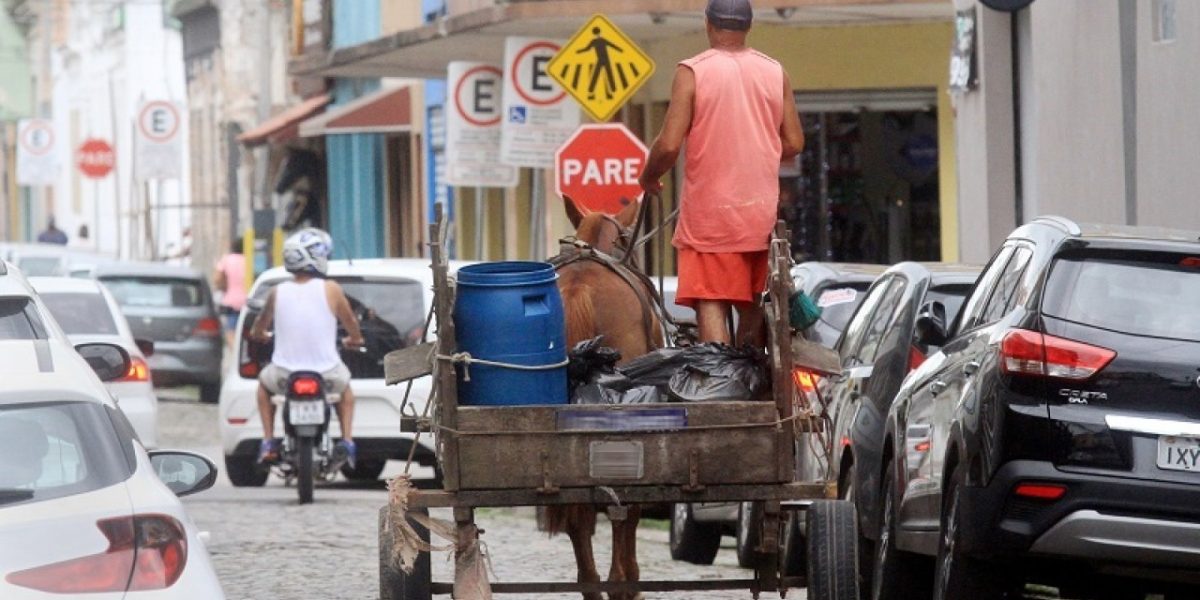 Pelotas inicia ações para restringir circulação de charretes