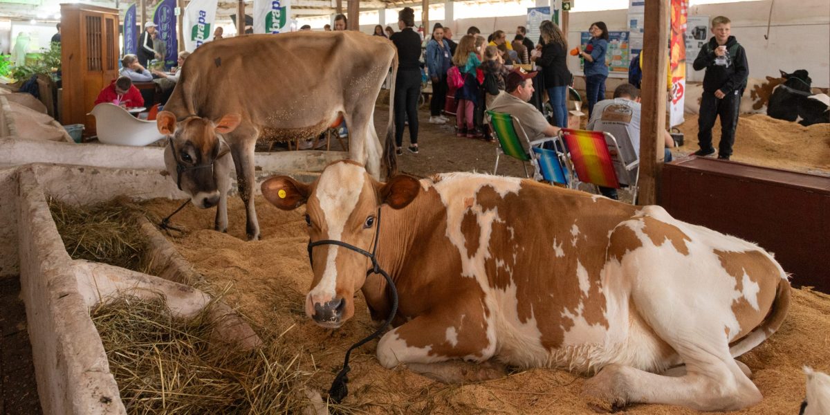 99ª Expofeira Pelotas busca o resgate da integração da Zona Sul