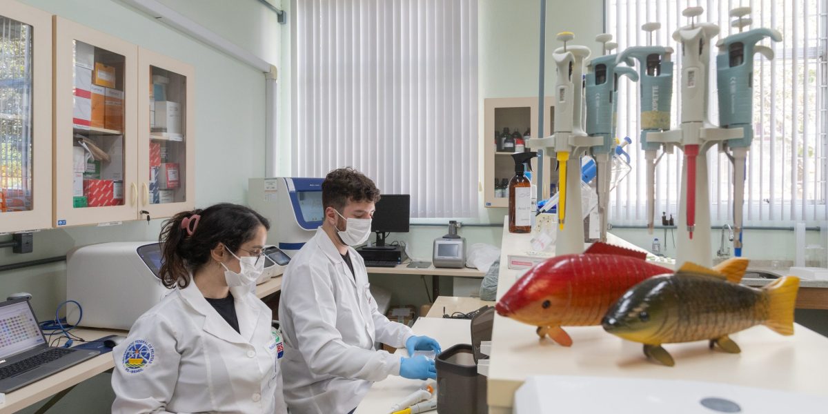 UFPel tem queda em ranking mundial de universidades